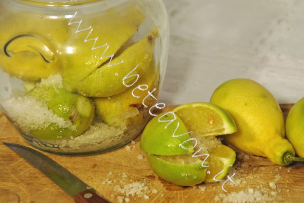 Limoni-sotto-Sale7