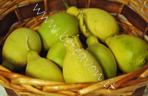 Limoni2