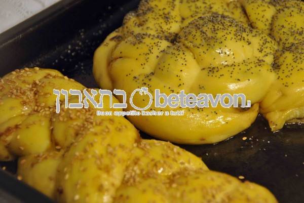 Pre-Forno